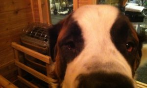 curious about storage